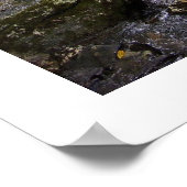 stroomafwaarts poster (Hoek)