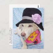 Stroombesparingsmodule Briefkaart (Voorkant / Achterkant)