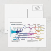 Stroomdiagram van het Amerikaanse strafrechtsystee Briefkaart (Voorkant / Achterkant)
