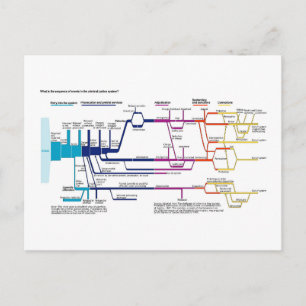 Stroomdiagram van het Amerikaanse strafrechtsystee Briefkaart