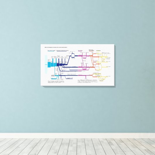Stroomdiagram van het Amerikaanse strafrechtsystee Canvas Afdruk (Insitu (Houten vloer))