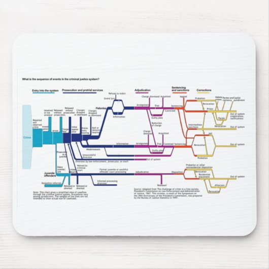 Stroomdiagram van het Amerikaanse strafrechtsystee Muismat (Voorkant)