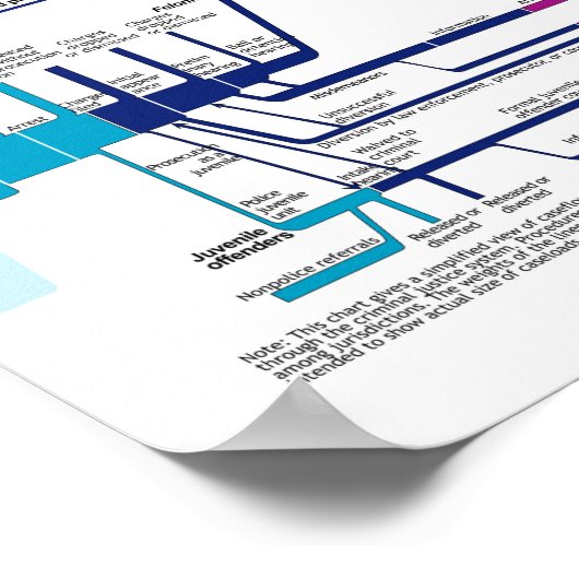 Stroomdiagram van het Amerikaanse strafrechtsystee Poster (Hoek)