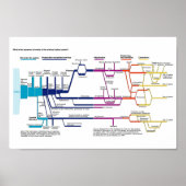 Stroomdiagram van het Amerikaanse strafrechtsystee Poster (Voorkant)