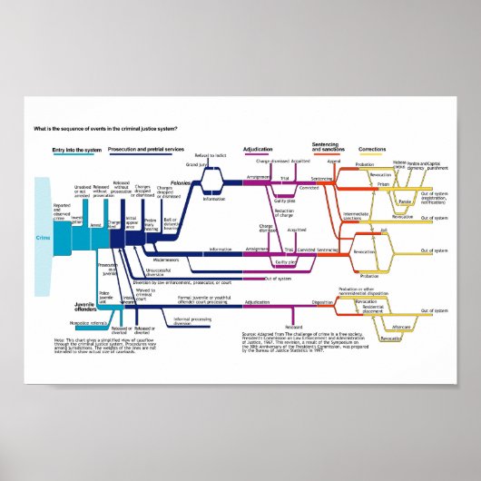 Stroomdiagram van het Amerikaanse strafrechtsystee Poster (Voorkant)