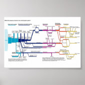 Stroomdiagram van het Amerikaanse strafrechtsystee Poster (Voorkant)