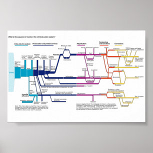 Stroomdiagram van het Amerikaanse strafrechtsystee Poster