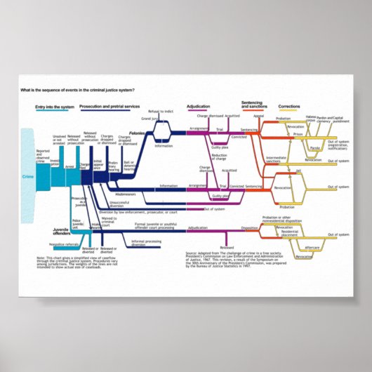 Stroomdiagram van het Amerikaanse strafrechtsystee Poster (Voorkant)