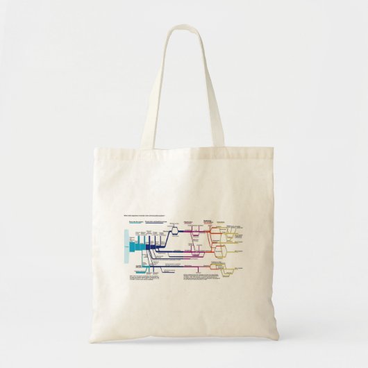 Stroomdiagram van het Amerikaanse strafrechtsystee Tote Bag (Voorkant)
