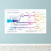 Stroomdiagram VS Amerikaans Strafrechtstelsel Canvas Afdruk (Insitu (Houten vloer))