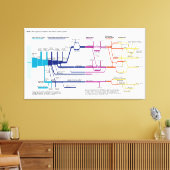 Stroomdiagram VS Amerikaans Strafrechtstelsel Canvas Afdruk (Insitu (Woonkamer))