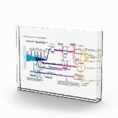 Stroomdiagram VS Amerikaans Strafrechtstelsel Fotoblokken (Rechts)