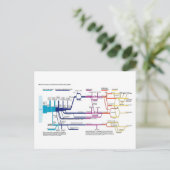 Stroomdiagram VS Amerikaans Strafrechtsysteem Briefkaart (Staand voorkant)