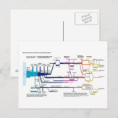 Stroomdiagram VS Amerikaans Strafrechtsysteem Briefkaart (Voorkant / Achterkant)