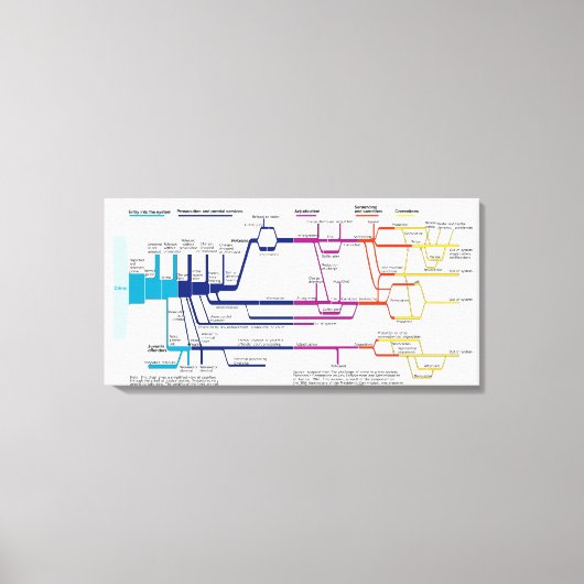 Stroomdiagram VS Amerikaans Strafrechtsysteem Canvas Afdruk (Voorkant)