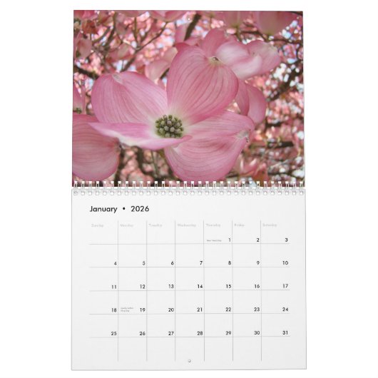 STROOMEN DOGWOOD TREES Calendar Gifts Flowers Kalender (Jan 2026)