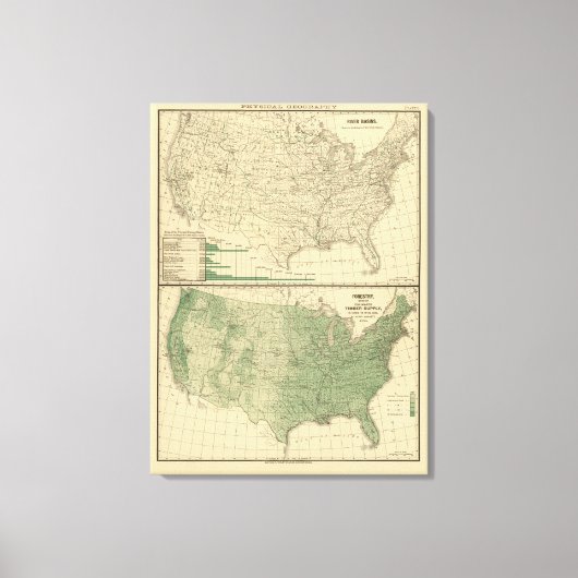 Stroomgebieden, Bosbouw Canvas Afdruk (Voorkant)