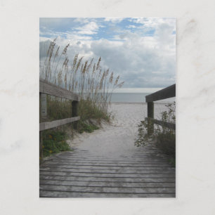 Stroompad voor Florida Briefkaart