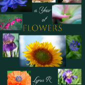 STROOMPROGRAMMA KALENDER