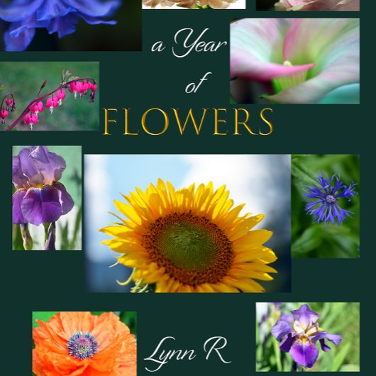 STROOMPROGRAMMA KALENDER