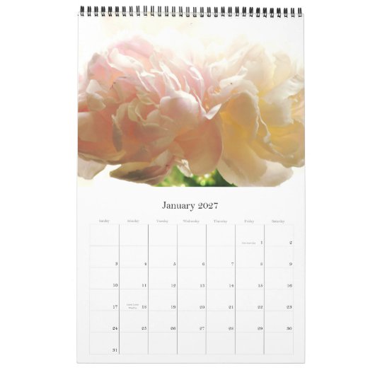 STROOMPROGRAMMA KALENDER (Jan 2027)
