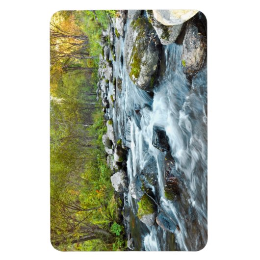 Stroomrivierkreek Flexi Magnet Magneet (Verticaal)