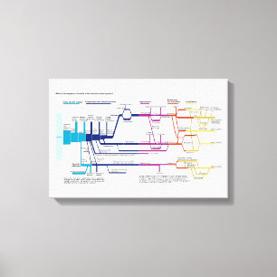 Stroomschema van het Amerikaanse strafrechtssystee Canvas Afdruk