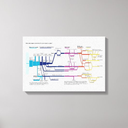 Stroomschema van het Amerikaanse strafrechtssystee Canvas Afdruk (Voorkant)