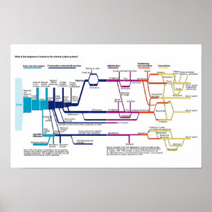 Stroomschema van het Amerikaanse strafrechtssystee Poster