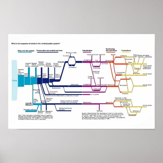 Stroomschema van het Amerikaanse strafrechtssystee Poster (Voorkant)