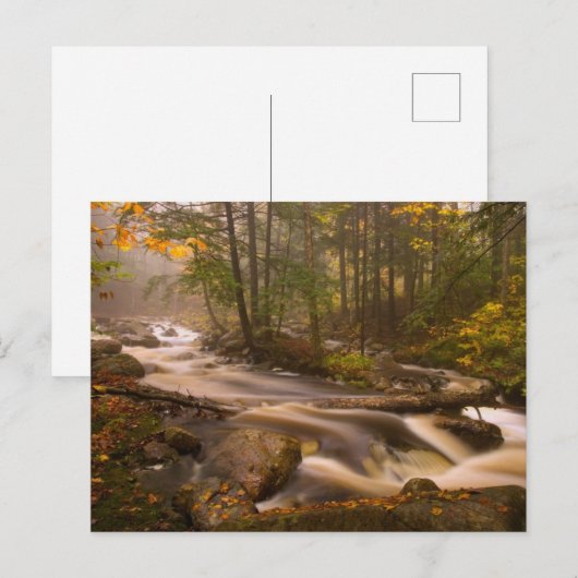 Stroomstromen Appalachian Trail | Vermont Briefkaart (Voorkant / Achterkant)