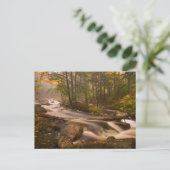 Stroomstromen Appalachian Trail | Vermont Briefkaart (Staand voorkant)