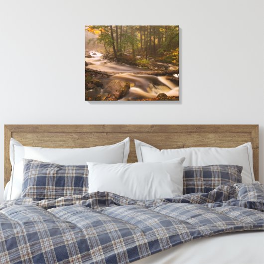 Stroomstromen Appalachian Trail | Vermont Canvas Afdruk (Insitu (Slaapkamer))