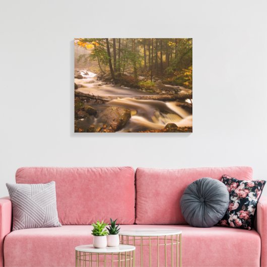 Stroomstromen Appalachian Trail | Vermont Canvas Afdruk (Insitu (Woonkamer))