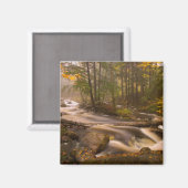 Stroomstromen Appalachian Trail | Vermont Magneet (Voorkant / Achterkant)