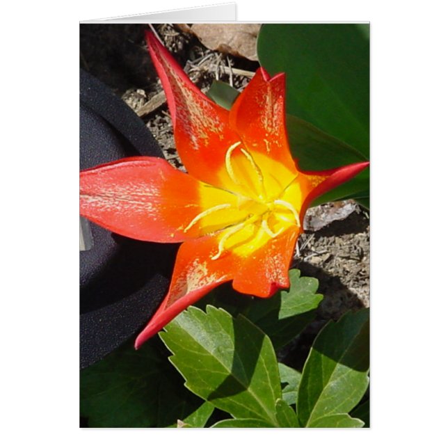 Stroomverbruik (Voorkant)