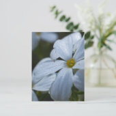 Stroomverbruik Briefkaart (Staand voorkant)