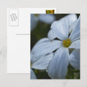 Stroomverbruik Briefkaart (Voorkant / Achterkant)