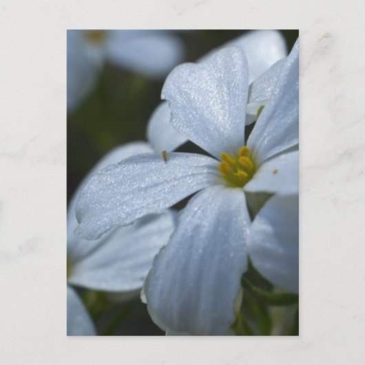 Stroomverbruik Briefkaart (Voorkant)