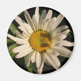 Stroomverbruik Magneet