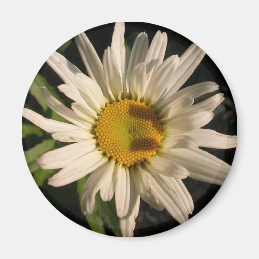 Stroomverbruik Magneet (Voorkant)