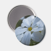 Stroomverbruik Magneet (Voorkant / Achterkant)