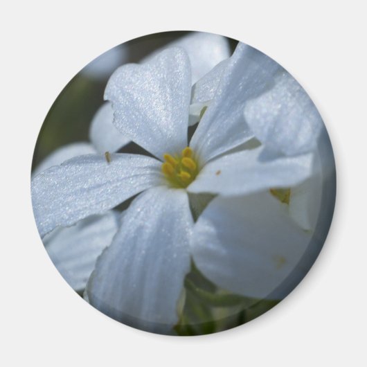 Stroomverbruik Magneet (Voorkant)