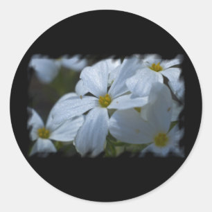 Stroomverbruik Ronde Sticker