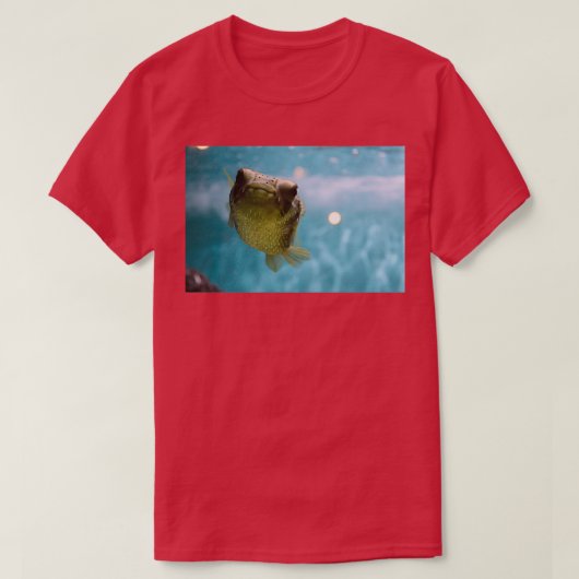 Stroomvis Classic TShirt (Design voorkant)