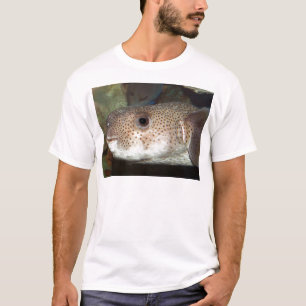 Stroomvis T-shirt