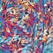 STROOMWATER CONFETTI