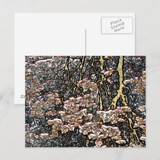 STROOMWATERREFLECTIES BRIEFKAART (Voorkant / Achterkant)