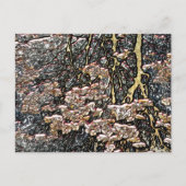 STROOMWATERREFLECTIES BRIEFKAART (Voorkant)