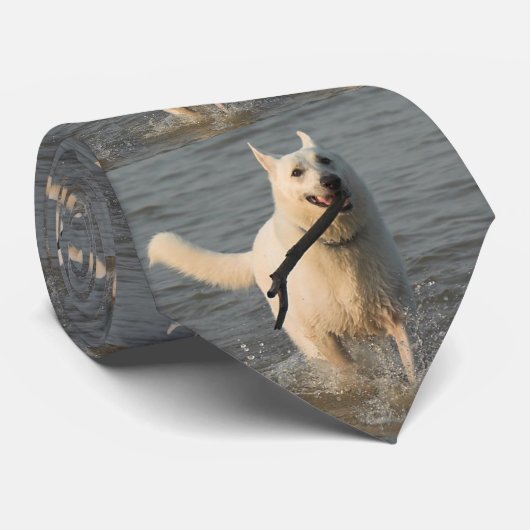 Stropdas 4 (Opgerold)